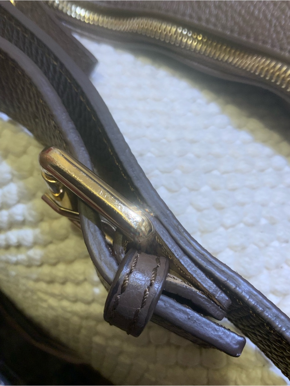 QUINCE - Picture 12 of 13